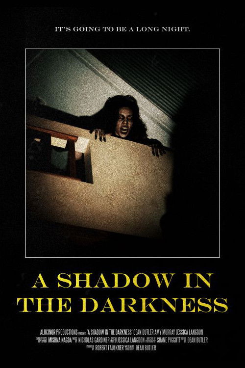A Shadow In The Darkness (2022) poster