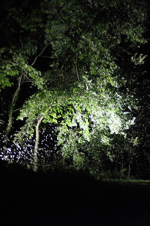 Ephemeres (2014) poster