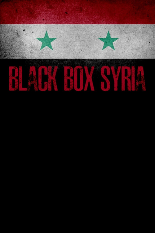 Blackbox Syrien - Der schmutzige Krieg (2020) poster