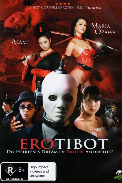 Erotibot (2011) poster