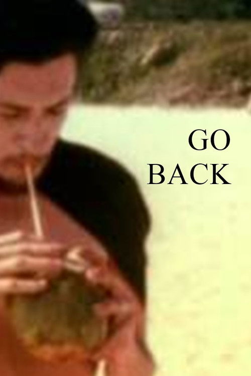 Go Back (2013) poster