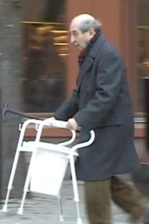 Old in Sweden (2005) poster