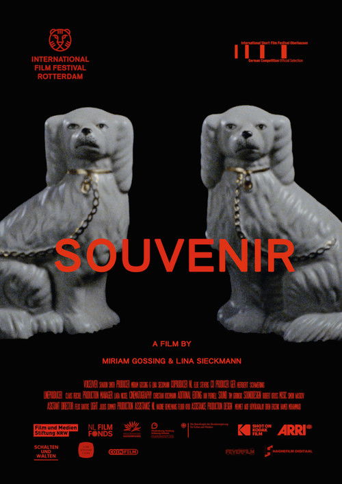 Souvenir (2019) poster