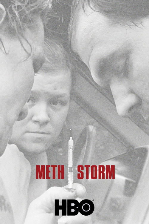 Meth Storm (2017) poster