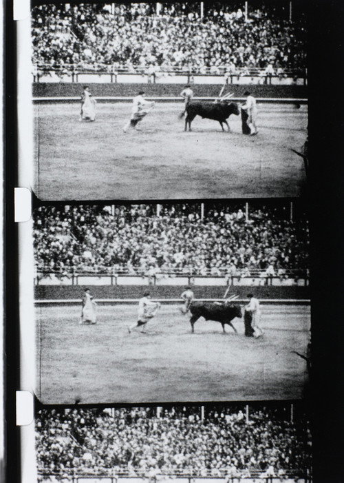 Corrida (1929) poster