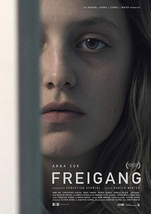 Freigang (2019) poster