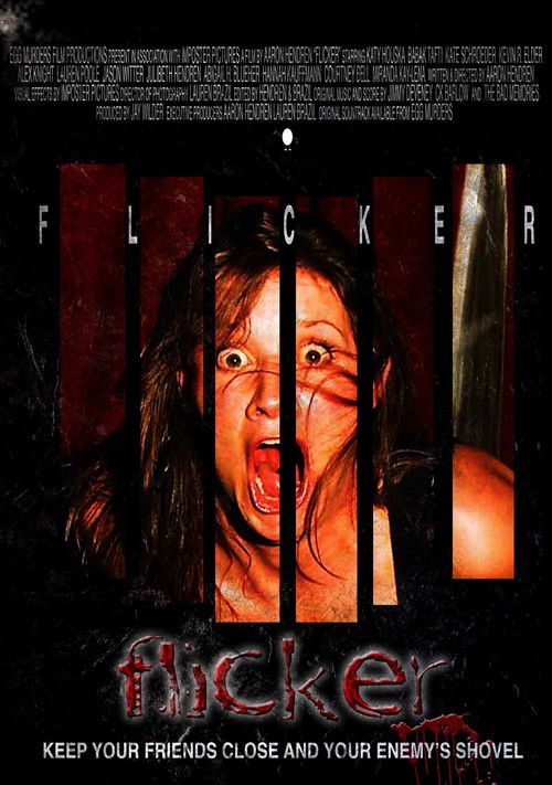 Flicker (2009) poster