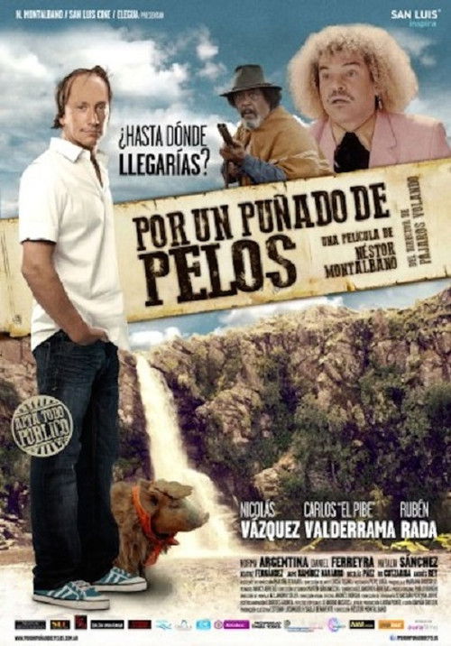 Por un puñado de pelos (2014) poster