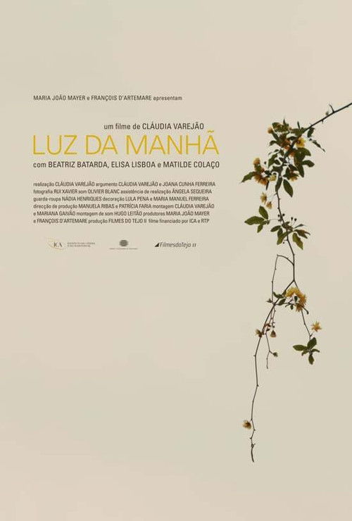 Luz da Manhã (2011) poster