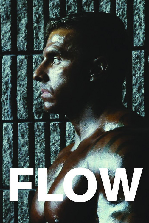 Flow (2012) poster