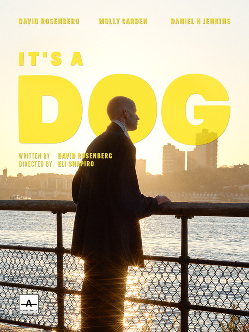 It's a Dog (2022) poster