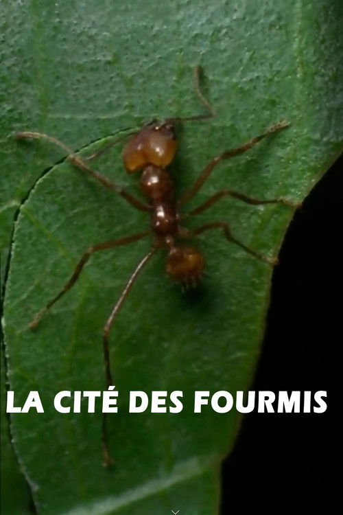 La cité des fourmis (1999) poster