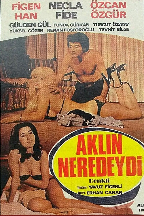 Aklın Neredeydi (1978) poster