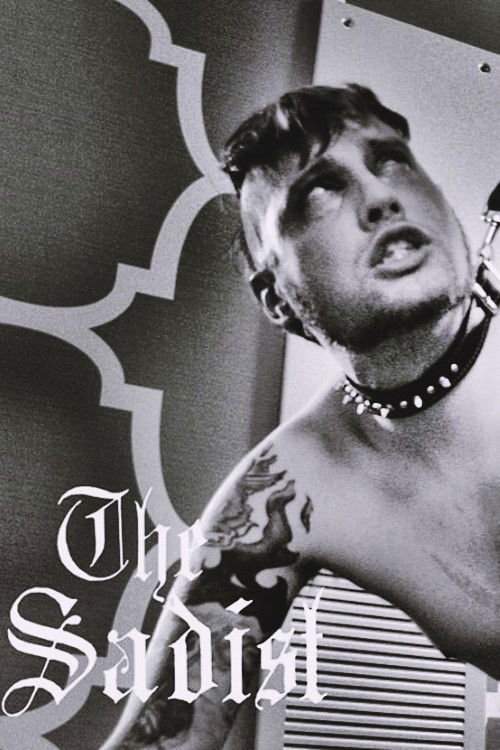 The Sadist (2014) poster