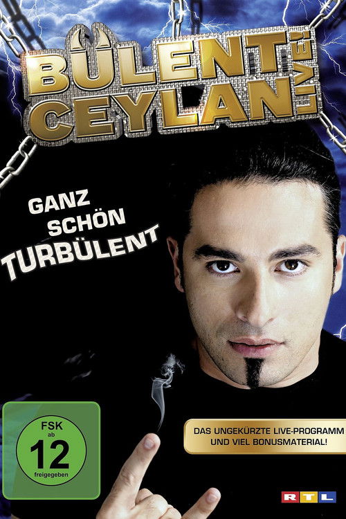 Ganz schön turbülent (2010) poster