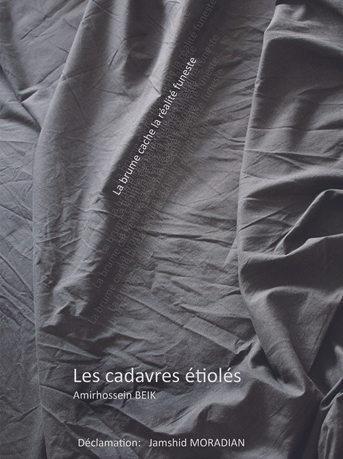 Les cadavres étiolés (2019) poster