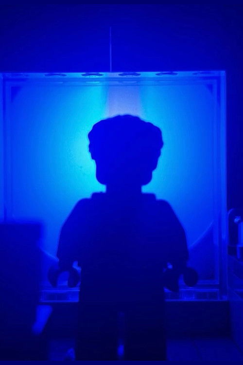 The Way Out (2025) poster