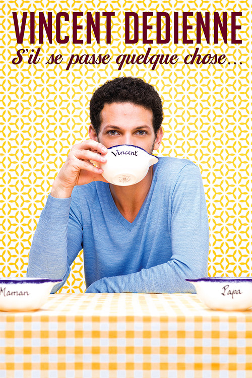 Vincent Dedienne - S'il se passe quelque chose (2017) poster