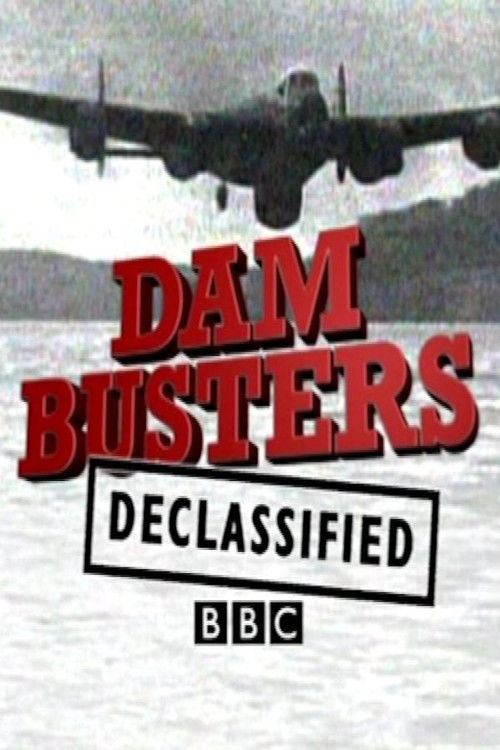 Dam Busters Declassified (2010) poster