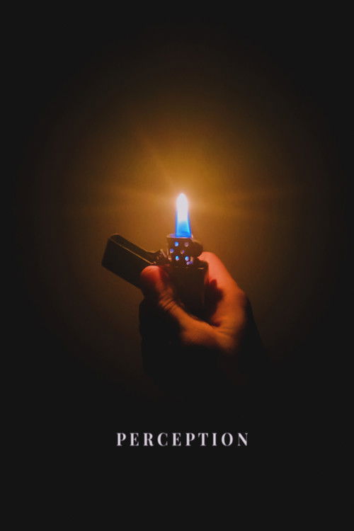 Perception (2026) poster