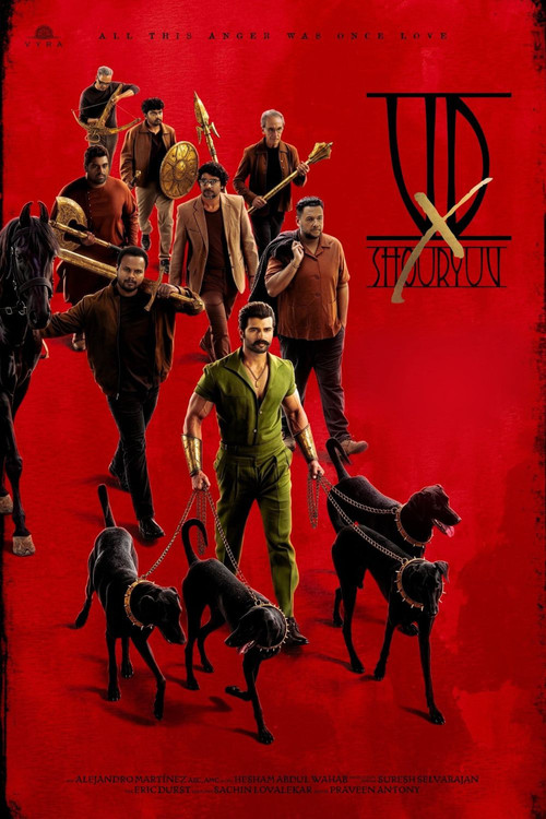 VD x Shouryuv poster