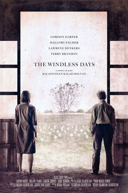 The Windless Days (2018) poster