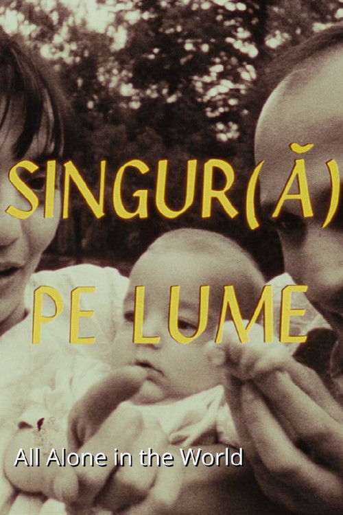 Singur(ă) pe lume poster