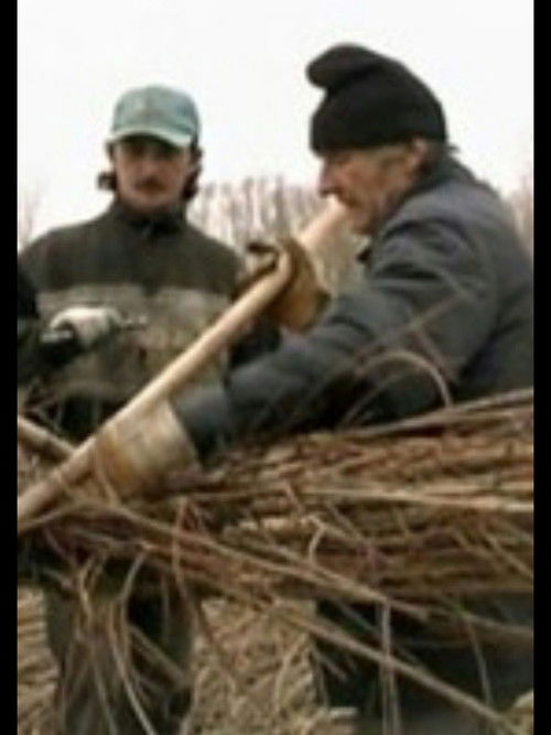 Nearby the river poster