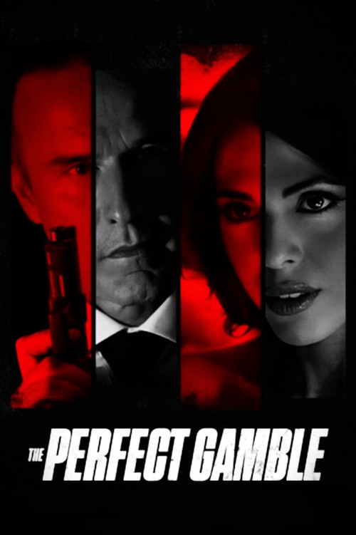 The Perfect Gamble (2025) poster