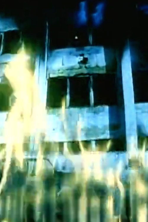 Black Kites (1996) poster