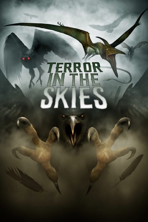 Terror in the Skies (2019) poster