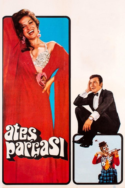 Ateş Parçası (1971) poster
