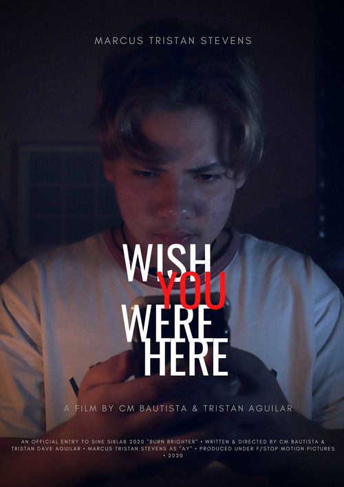 Wish You Were Here poster