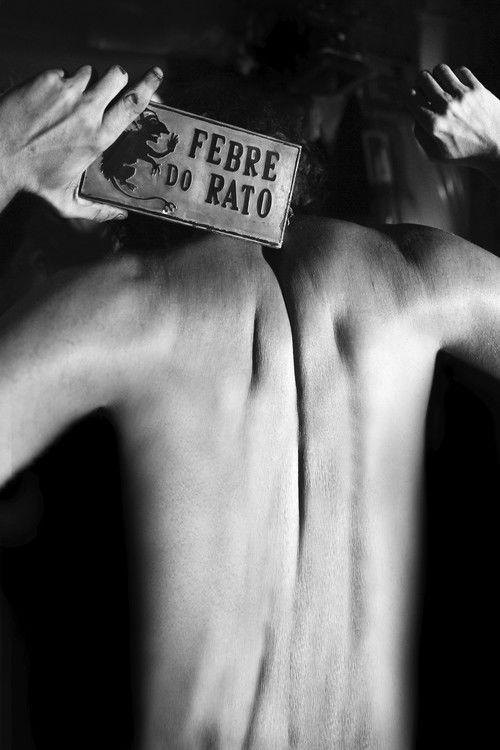 Febre do Rato (2012) poster