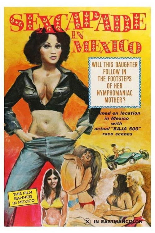 Sexcapade in Mexico (1973) poster