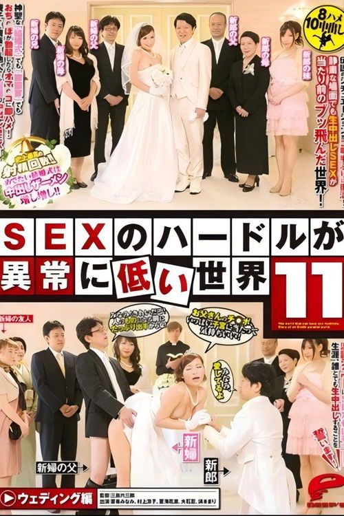 A World with Exceptionally Low Hurdles to SEX 11 (2016) poster