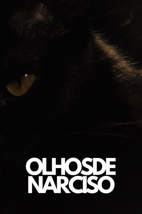 Olhos de Narciso (2025) poster