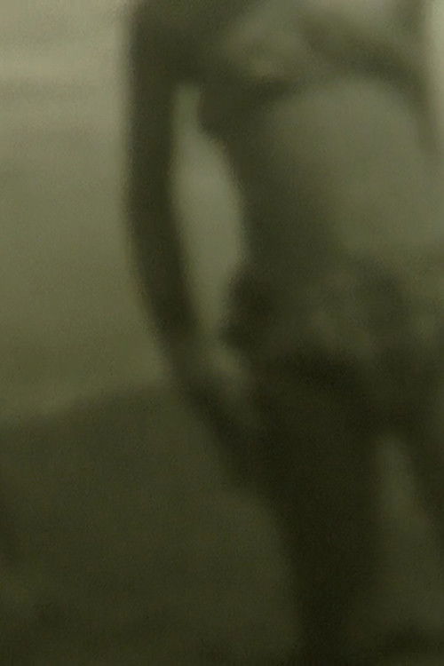 Apparitions (2013) poster