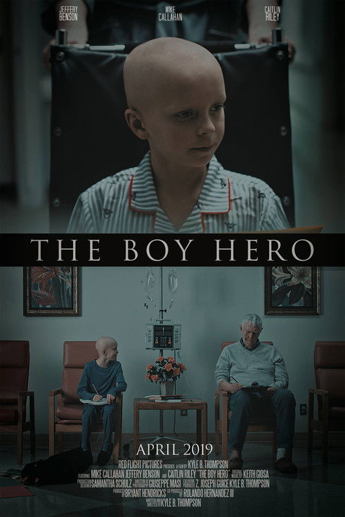 The Boy Hero (2019) poster