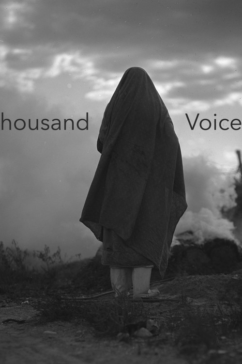 A Thousand Voices (2014) poster