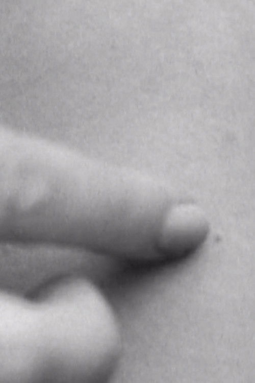 Exits and Entries (2021) poster