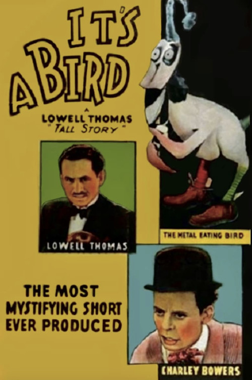 It's a Bird (1930) poster