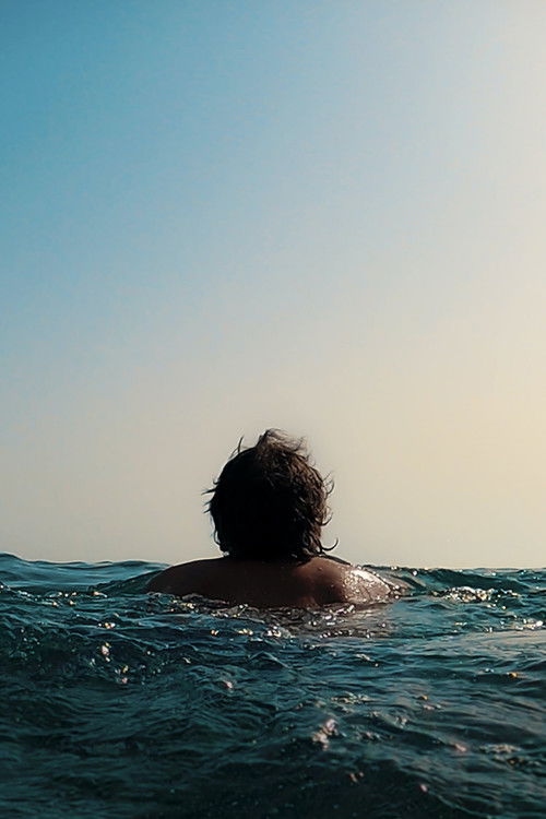 Un giorno bello, l'altro no (2024) poster