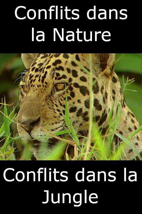 Conflits dans la Nature – Conflits dans la Jungle (2018) poster