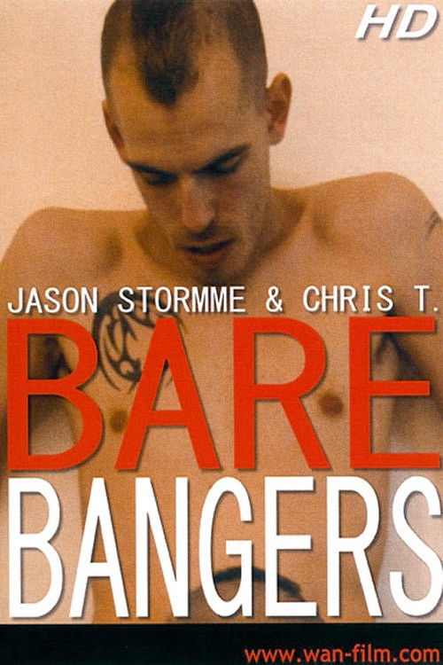 Bare Bangers (2011) poster