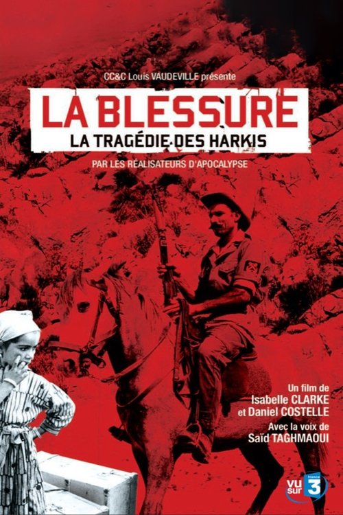 An Unhealed Wound - The Harkis in the Algerian War (2010) poster