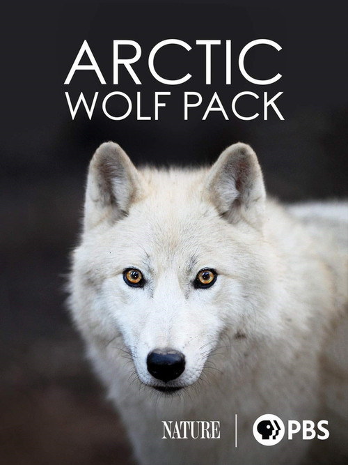 Nature: Arctic Wolf Pack poster