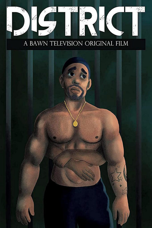 District (2018) poster