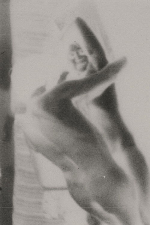 Poor Cinderella, still ironing her husband shirt (1978) poster