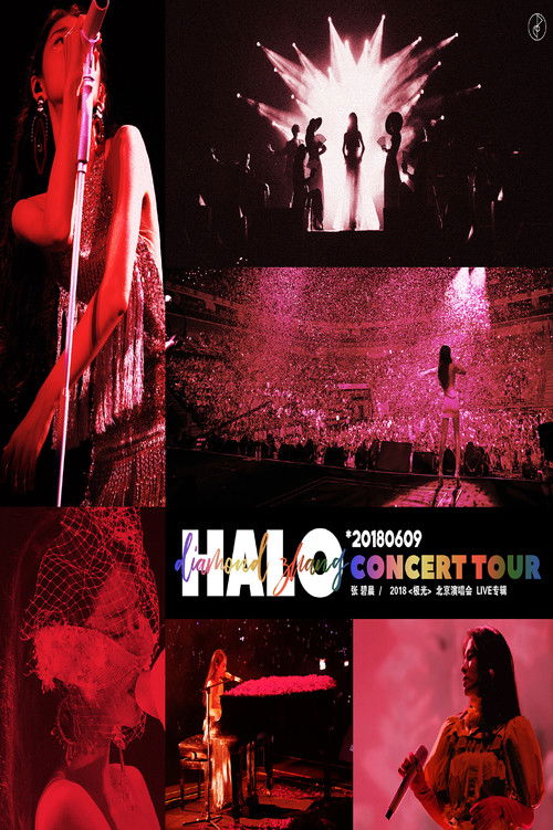 张碧晨 2018北京极光演唱会 (2018) poster